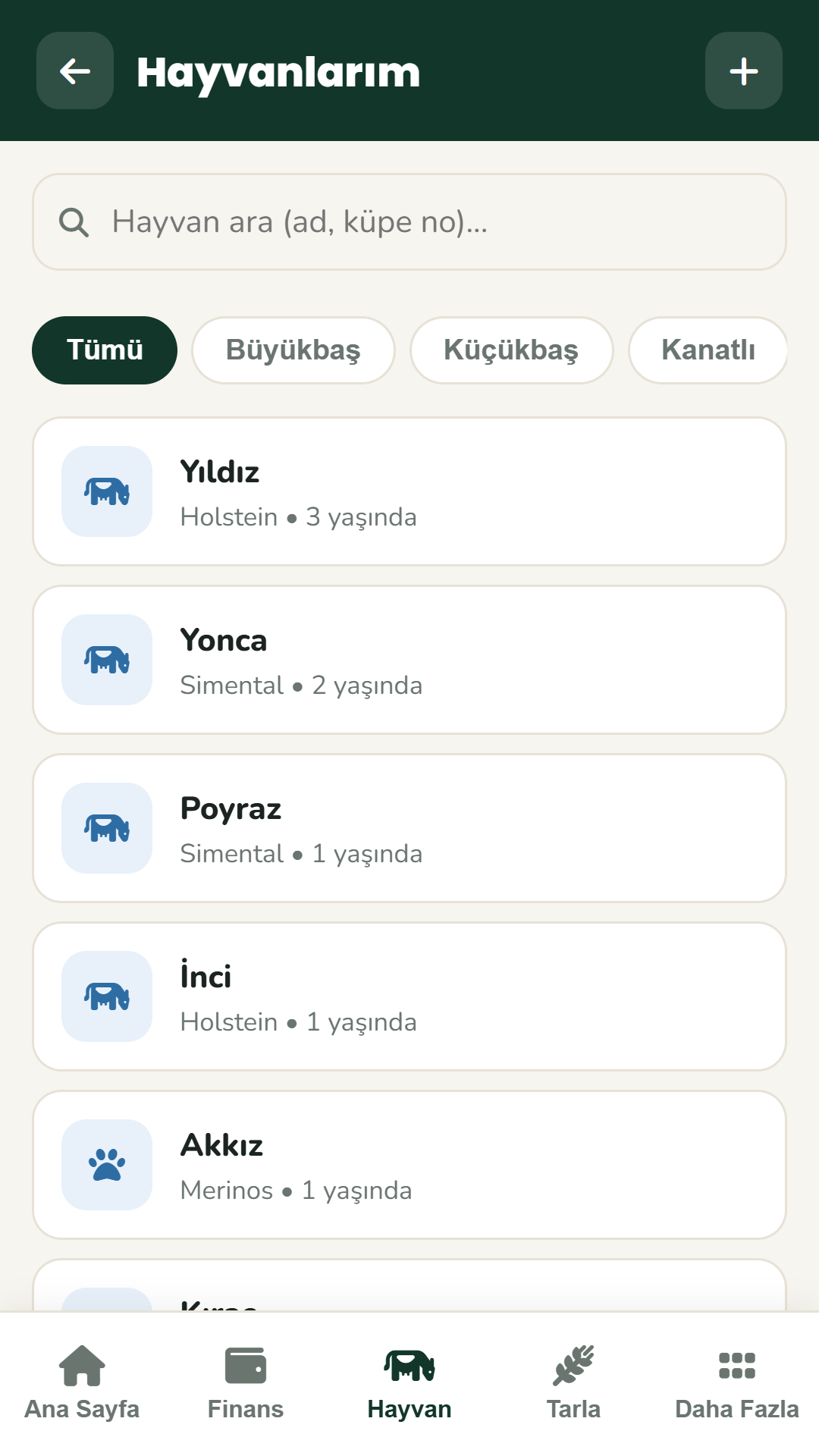 Bereket Hesap rapor ekranı