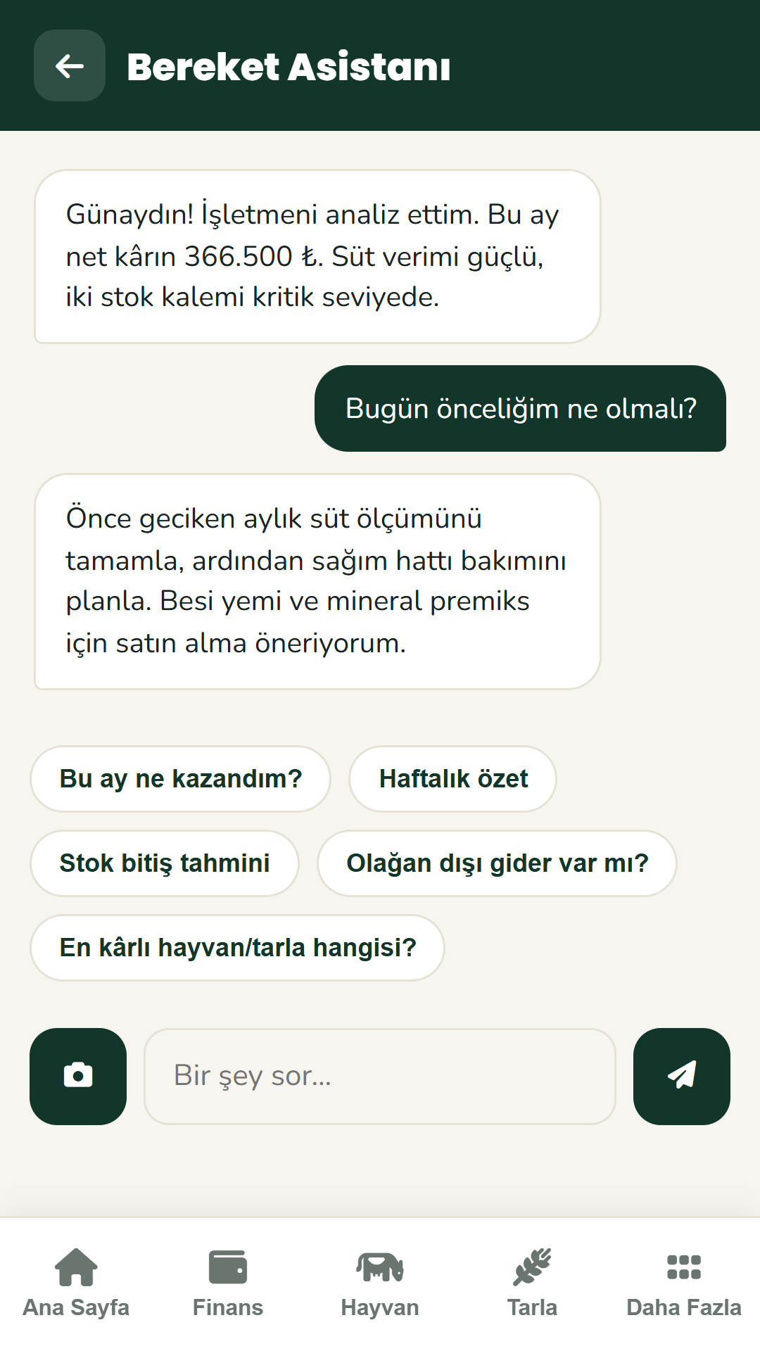 Bereket Hesap asistan